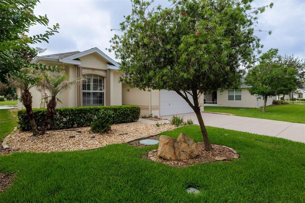 61 RAINTREE CIRCLE