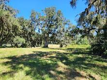 A grassy, sunlit lot features several large oak trees draped with Spanish moss — 7670 NW 137TH AVENUE, MORRISTON, FL