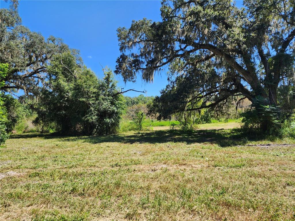 A grassy, open lot features large, moss-draped oak trees under a clear blue sky — 7670 NW 137TH AVENUE, MORRISTON, FL