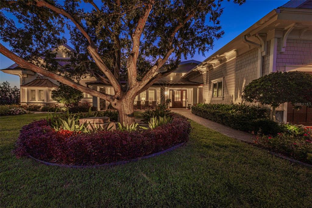 A large tree stands in a circular garden bed in front of a lit house exterior — 1744 SANTA BARBARA DRIVE, DUNEDIN, FL