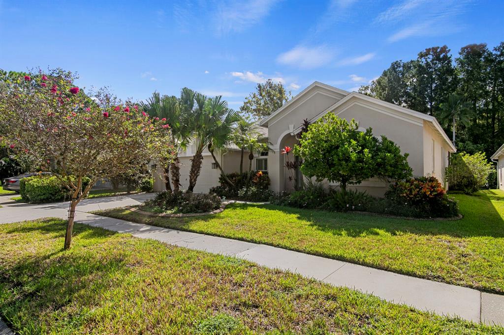 12304 WYCLIFF PLACE, TAMPA, FL — photo 4 of 30