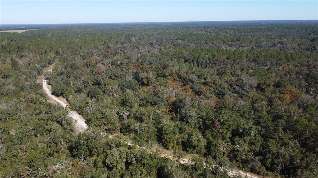 An aerial view shows a dirt road winding through a dense, wooded forest landscape — NE CHERVIL DRIVE, LEE, FL