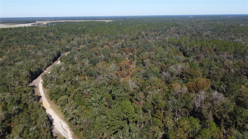 An aerial view shows a dirt road winding through a dense, wooded forest — NE CHERVIL DRIVE, LEE, FL