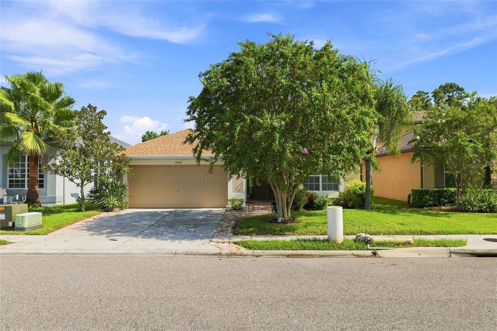 30608 PECAN VALLEY LOOP, WESLEY CHAPEL, FL — photo 3 of 30