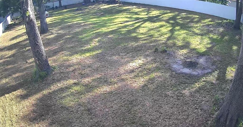 A large, grassy backyard features several mature trees and a white perimeter fence — 11310 BRIGHTRIDGE DRIVE, SEFFNER, FL