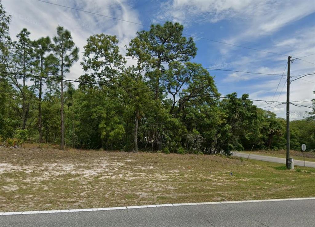 A vacant, grassy lot with sandy soil is bordered by dense trees and a road — 873 W HAMPSHIRE BOULEVARD, CITRUS SPRINGS, FL