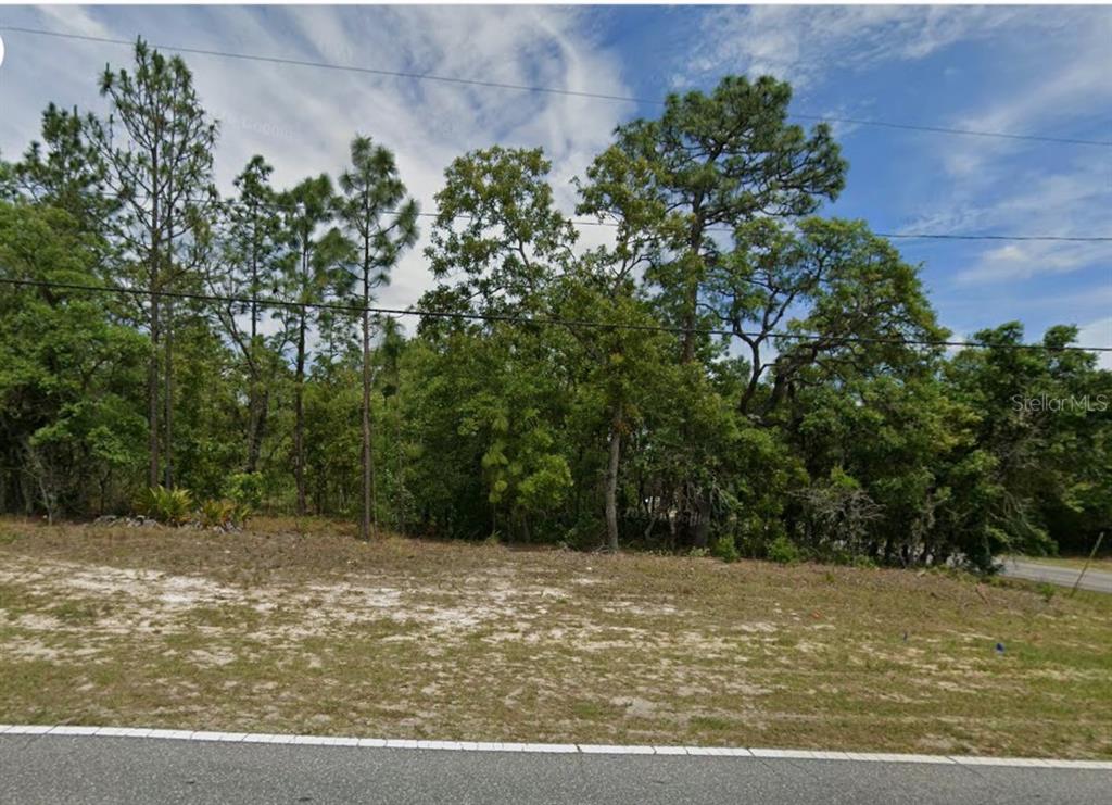 A vacant, wooded lot with sandy soil sits behind a paved road — 873 W HAMPSHIRE BOULEVARD, CITRUS SPRINGS, FL