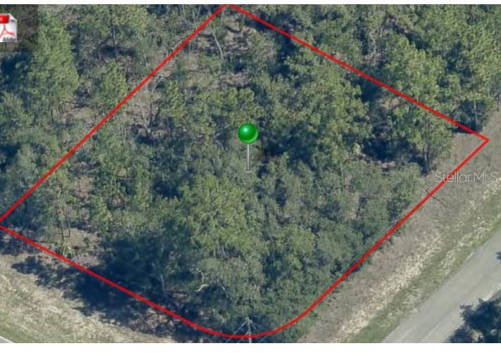 An aerial view shows a wooded, rectangular plot of land outlined in red — 873 W HAMPSHIRE BOULEVARD, CITRUS SPRINGS, FL