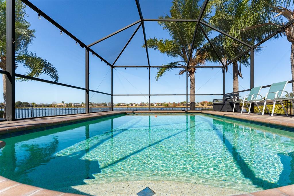 A swimming pool enclosed by a screen cage overlooks a lake with palm trees nearby — 5431 SANDY SHELL DRIVE, APOLLO BEACH, FL