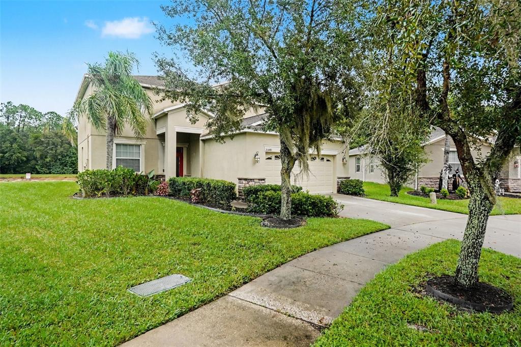 20443 AUTUMN FERN AVENUE, TAMPA, FL — photo 2 of 30