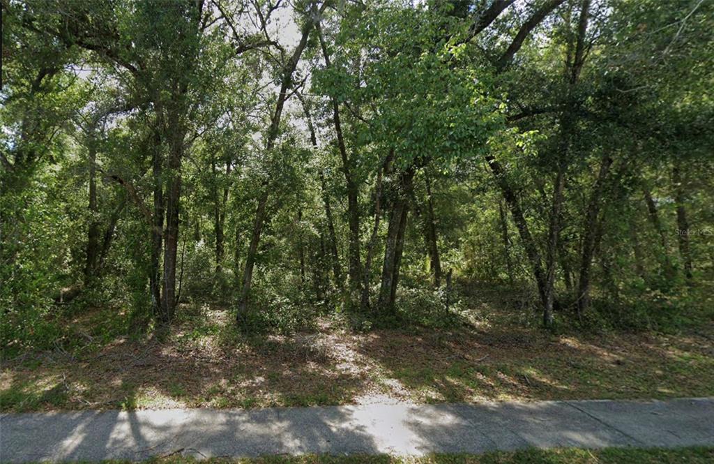 A dense, wooded lot is viewed from a paved sidewalk in front of the property — 426 CHURCH, LAKE HELEN, FL