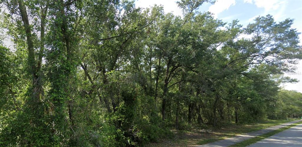 A wooded lot with mature trees sits adjacent to a paved road — 426 CHURCH, LAKE HELEN, FL