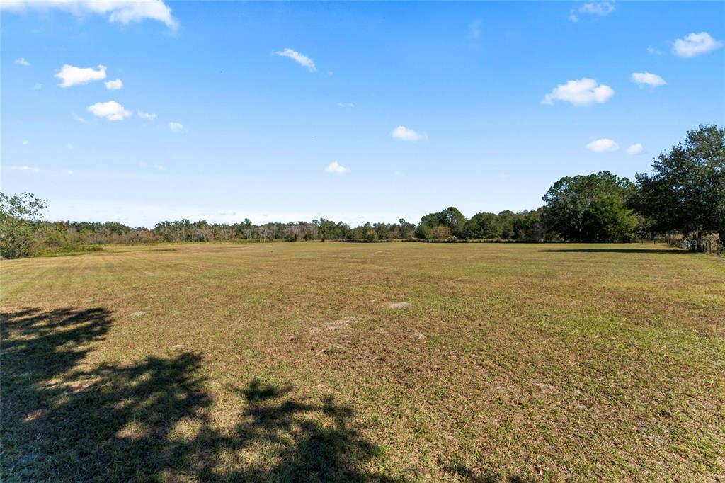 A wide, grassy field stretches toward a line of trees under a blue sky — 0 COUNTY ROAD 52, SAN ANTONIO, FL