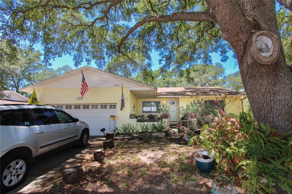 1229 OAK VALLEY DRIVE