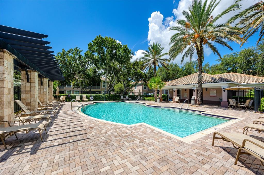 A swimming pool with lounge chairs on a brick patio surrounded by palm trees — 894 LANTERN WAY, CLEARWATER, FL