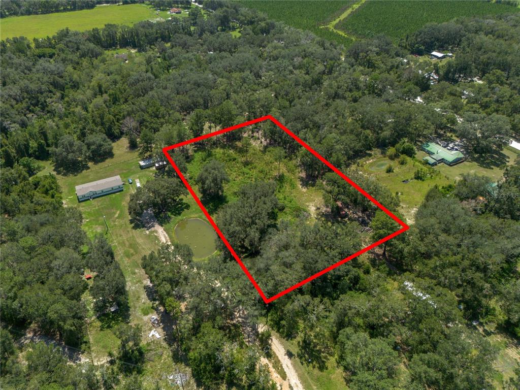 An aerial view shows a rectangular plot of land outlined in red amidst wooded surroundings — 239 SW CANDI COURT, FORT WHITE, FL