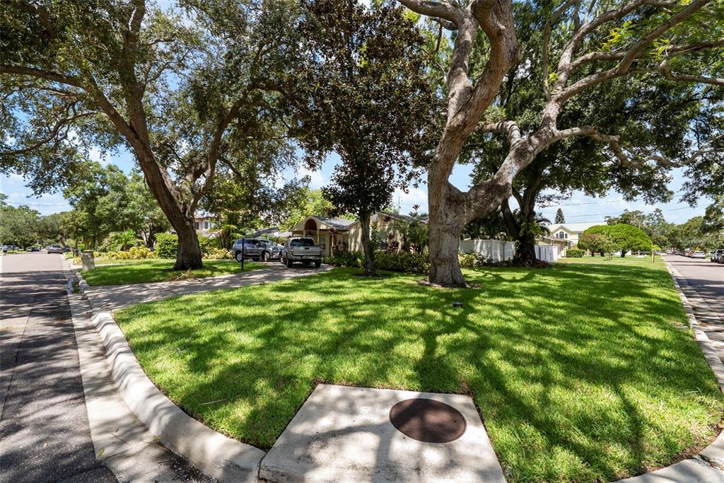 A grassy front yard with large trees and a driveway sits in front of a house — 3401 W SEVILLA STREET, TAMPA, FL