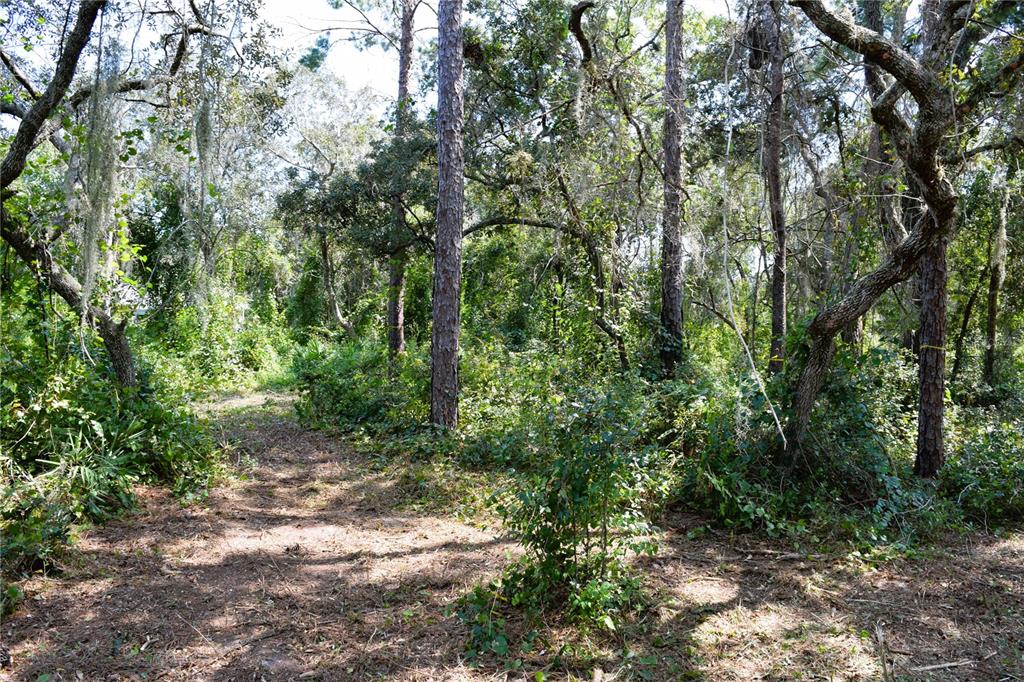 625 LAKE BUTLER AVENUE, OSTEEN, FL — photo 2 of 15
