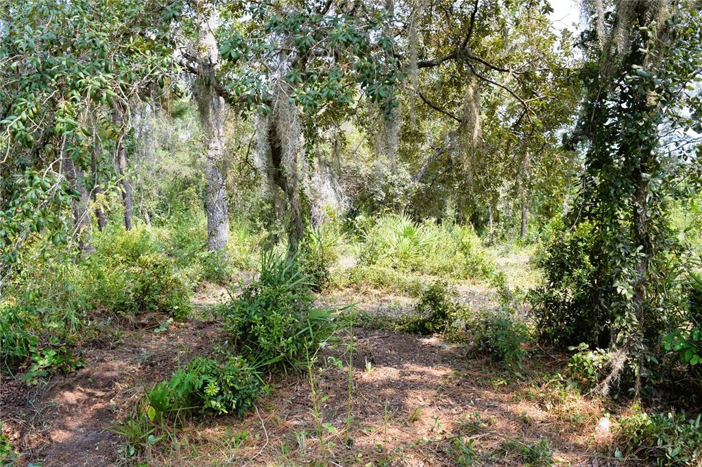 625 LAKE BUTLER AVENUE, OSTEEN, FL — photo 5 of 15