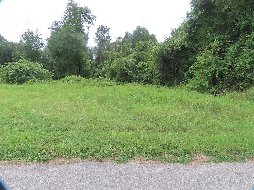 17701 SEIDNER ROAD