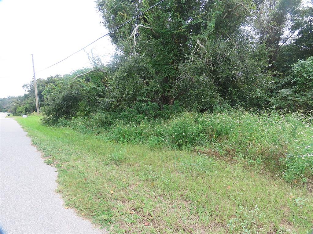17701 SEIDNER ROAD, WINTER GARDEN, FL — photo 2 of 18