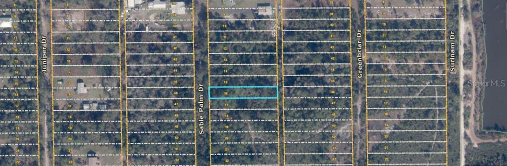 This aerial map shows a rectangular plot of land highlighted in blue along a residential street — 1033 SABLE PALM DRIVE, CHRISTMAS, FL