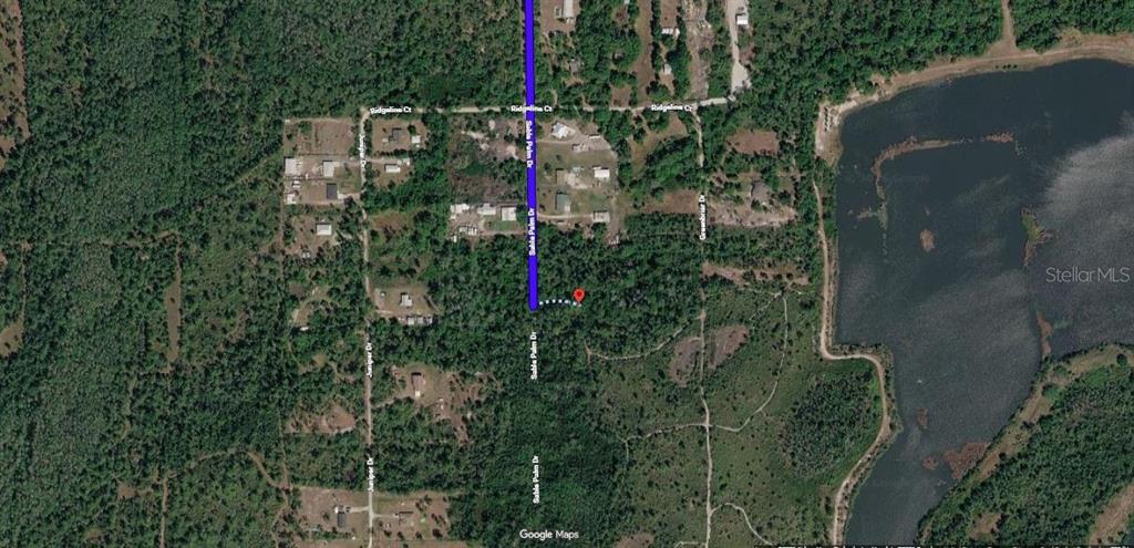 This is a satellite map view of a wooded residential area with a highlighted road — 1033 SABLE PALM DRIVE, CHRISTMAS, FL