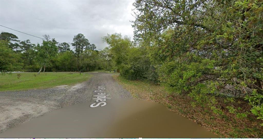A gravel road leads into a wooded area with dense trees and green vegetation — 1033 SABLE PALM DRIVE, CHRISTMAS, FL