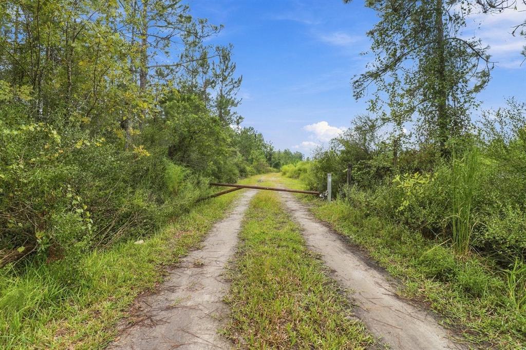 0 DOC SMITH ROAD, BRONSON, FL — photo 2 of 10