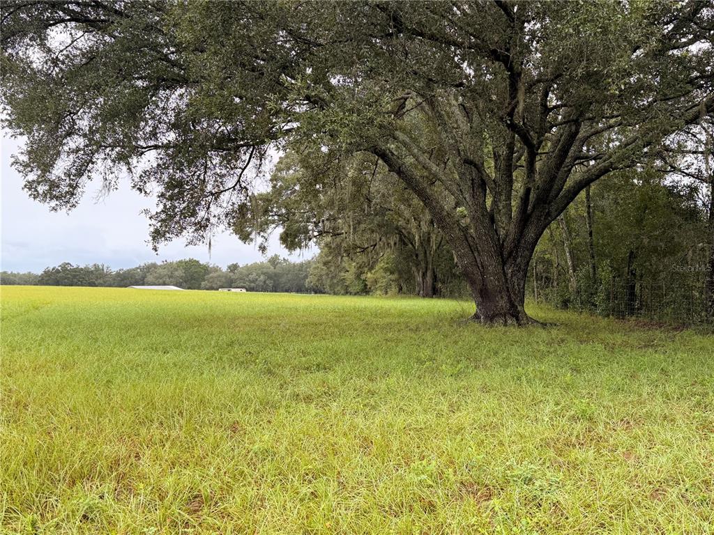 6851 SE HIGHWAY 41, MORRISTON, FL — photo 4 of 5