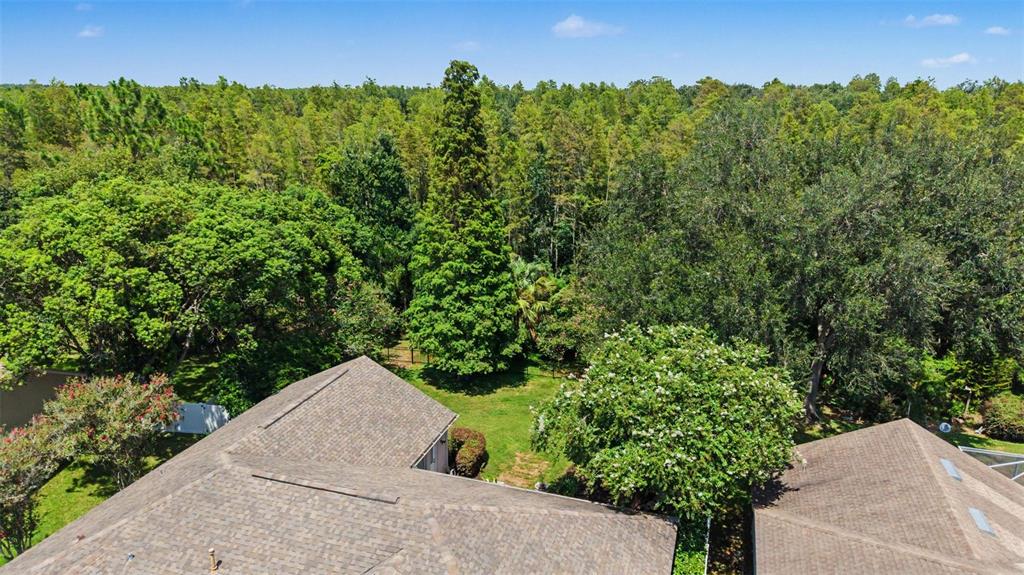 19205 AUTUMN WOODS AVENUE, TAMPA, FL — photo 2 of 30