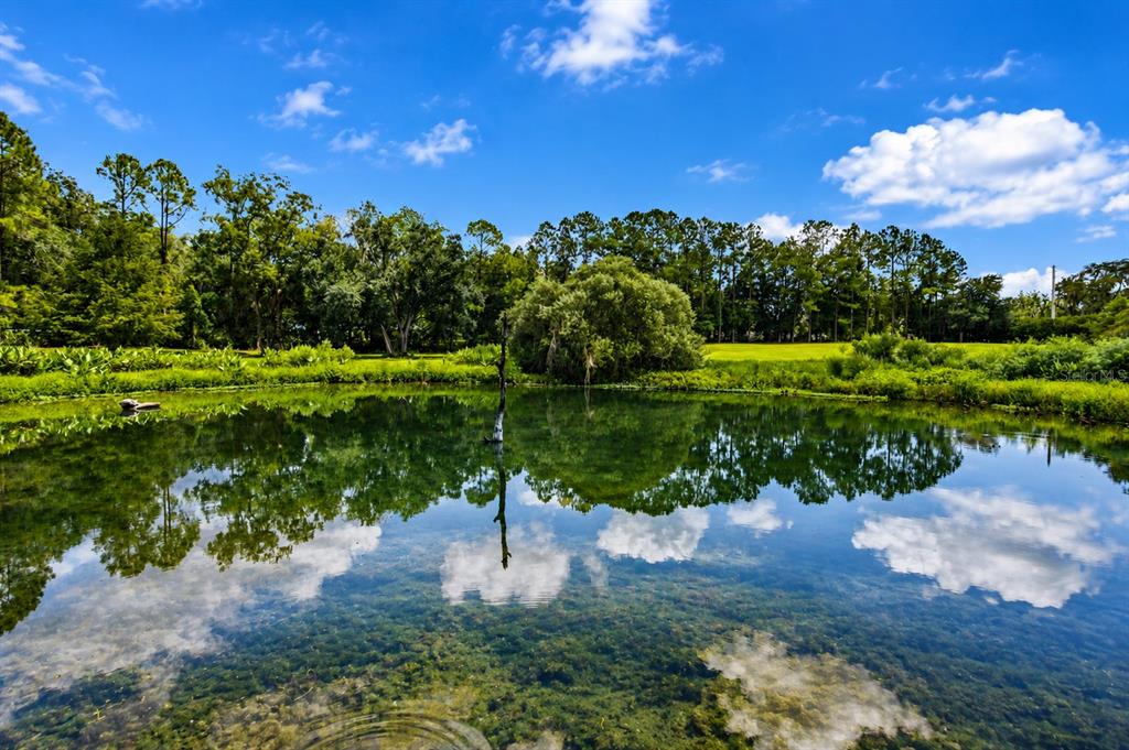 A calm pond reflects the surrounding trees and blue sky under a bright sunny day — 2015 NW 35TH STREET, OCALA, FL