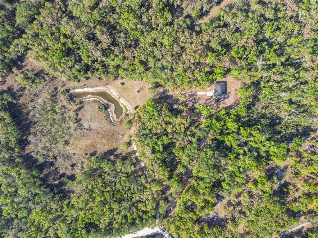 An aerial view shows a house situated in a wooded area next to a small pond — 957 NE 354TH AVENUE, OLD TOWN, FL
