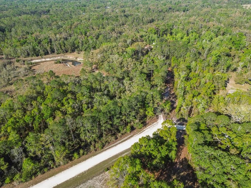 An aerial view shows a dirt road winding through a dense, wooded forest with a pond — 957 NE 354TH AVENUE, OLD TOWN, FL