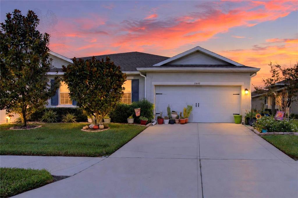 10648 HERON HIDEAWAY LOOP, LAND O LAKES, FL — photo 2 of 30