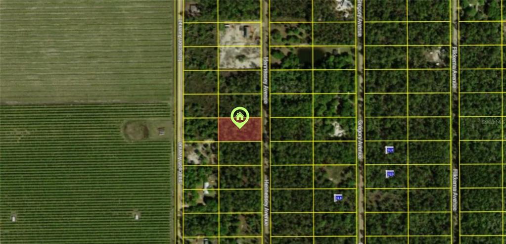 This is a map showing a highlighted rectangular land parcel located along Hennessey Avenue — 10515 HENNESSEY AVENUE, HASTINGS, FL