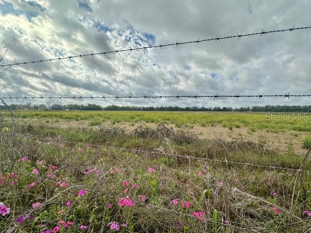 A barbed wire fence runs along a field of green grass under a cloudy sky — SW 80TH STREET, TRENTON, FL