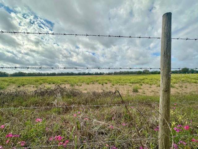 A wide, grassy field stretches toward a distant tree line under a cloudy sky — SW 80TH STREET, TRENTON, FL