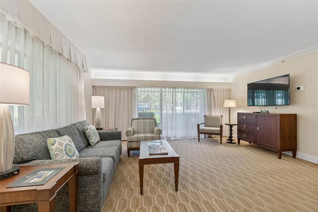 A living room features a grey sofa, patterned carpet, a wooden coffee table, and a television — 36750 US HIGHWAY 19 N UNIT 04-125, PALM HARBOR, FL