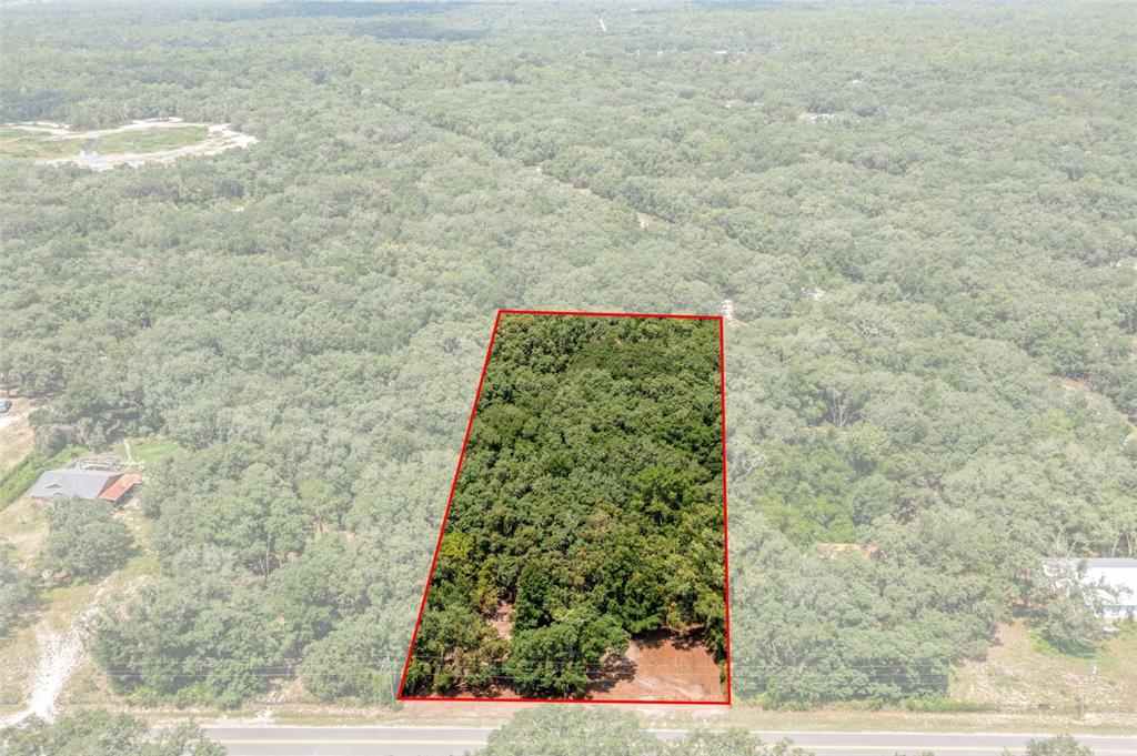 An aerial view shows a rectangular, wooded plot of land outlined in red near a road — WHEYSTONE DRIVE, WEBSTER, FL