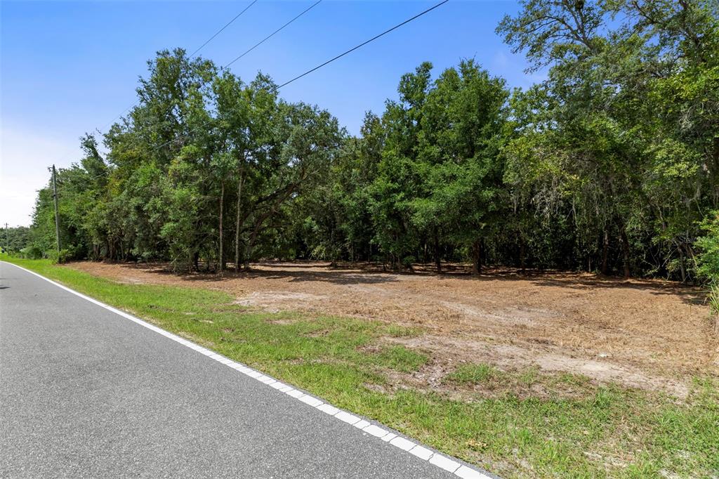 A paved road runs alongside a cleared, wooded lot under a clear blue sky — WHEYSTONE DRIVE, WEBSTER, FL