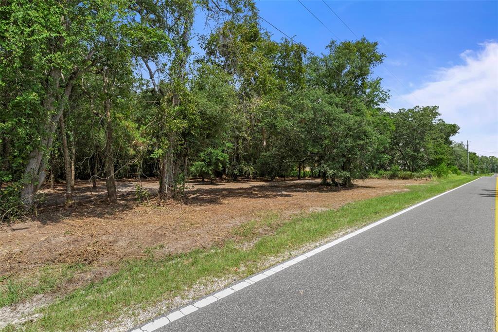 A vacant, wooded lot sits adjacent to a paved road under a clear blue sky — WHEYSTONE DRIVE, WEBSTER, FL