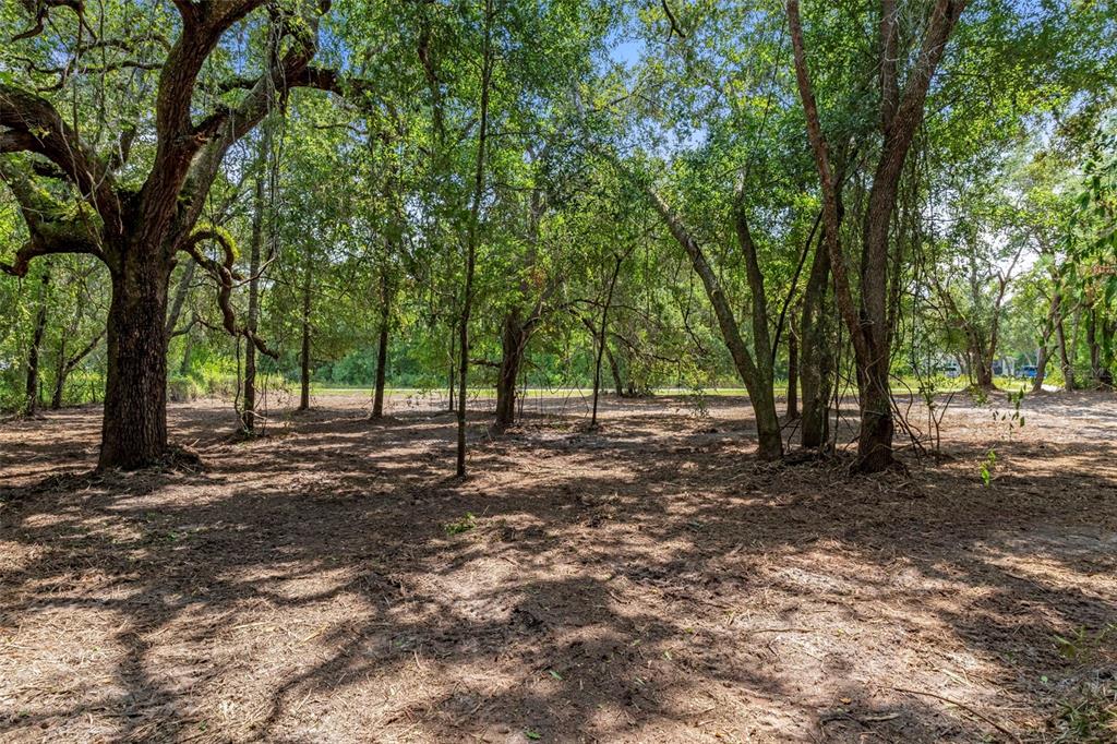 A wooded lot with mature trees and cleared ground under a bright blue sky — WHEYSTONE DRIVE, WEBSTER, FL