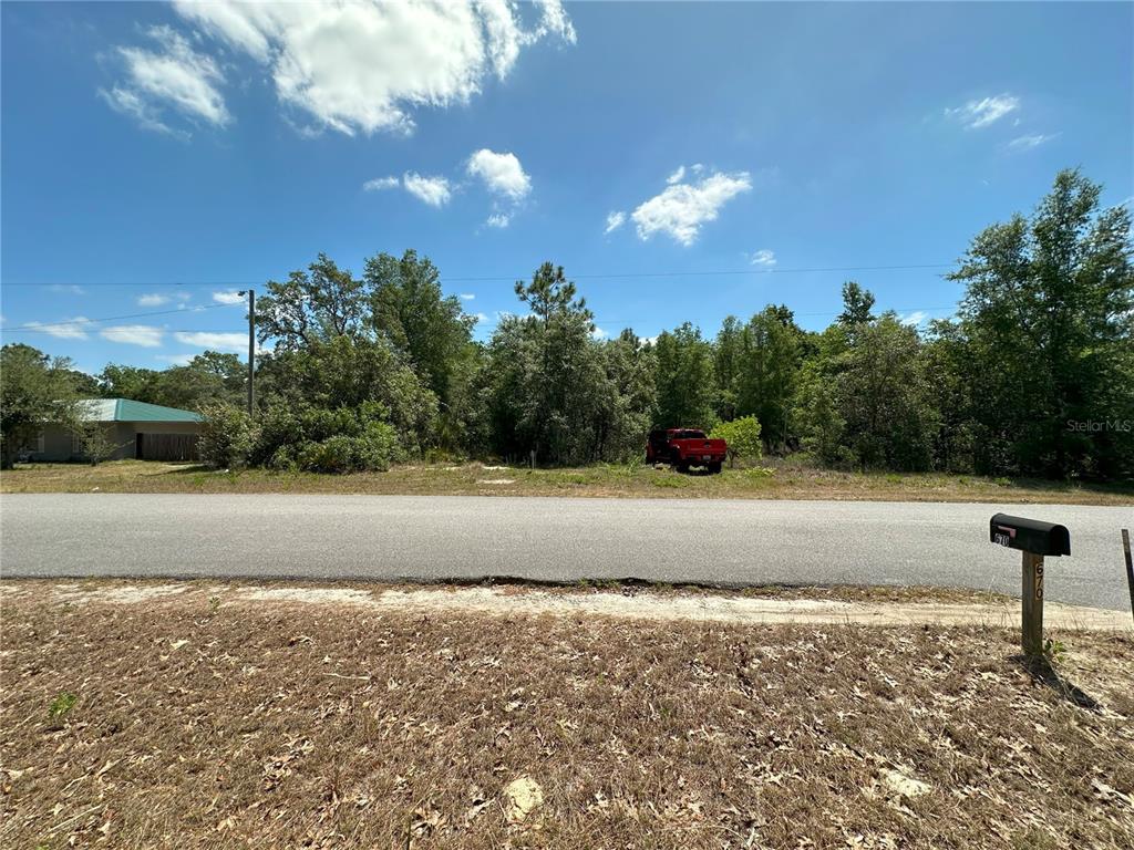 A vacant, wooded lot sits behind a paved road with a mailbox in the foreground — 671 N GRIFFITH AVENUE, CRYSTAL RIVER, FL