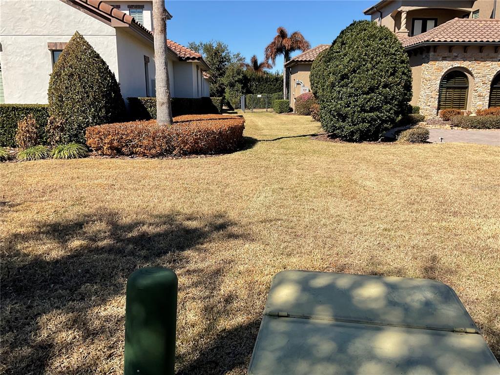 A grassy yard sits between two houses with a utility box in the foreground — 11406 WATERSTONE LOOP DRIVE, WINDERMERE, FL