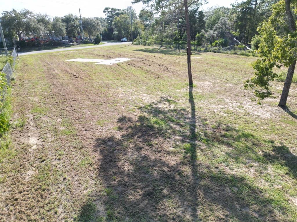 BRANDY DRIVE, SPRING HILL, FL — photo 5 of 6