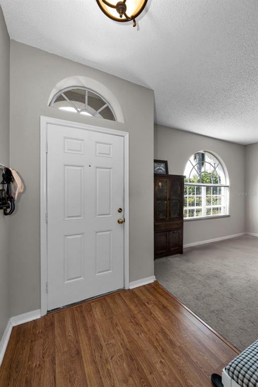An entryway features a white front door, wood-look flooring, and a carpeted living area — 1821 ALVARA PLACE, TRINITY, FL