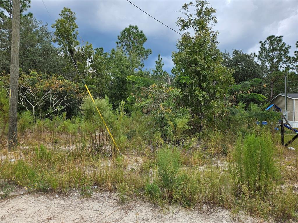 0000 NE 67TH STREET, BRONSON, FL — photo 2 of 4