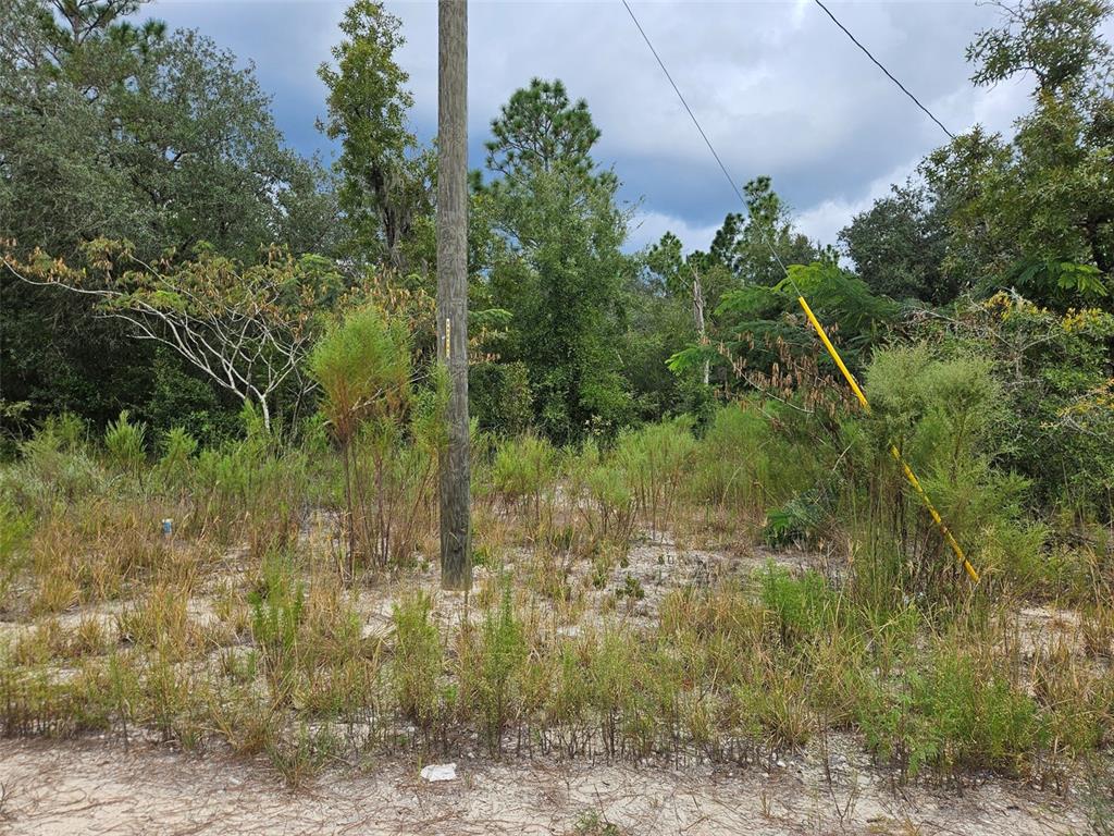 0000 NE 67TH STREET, BRONSON, FL — photo 3 of 4