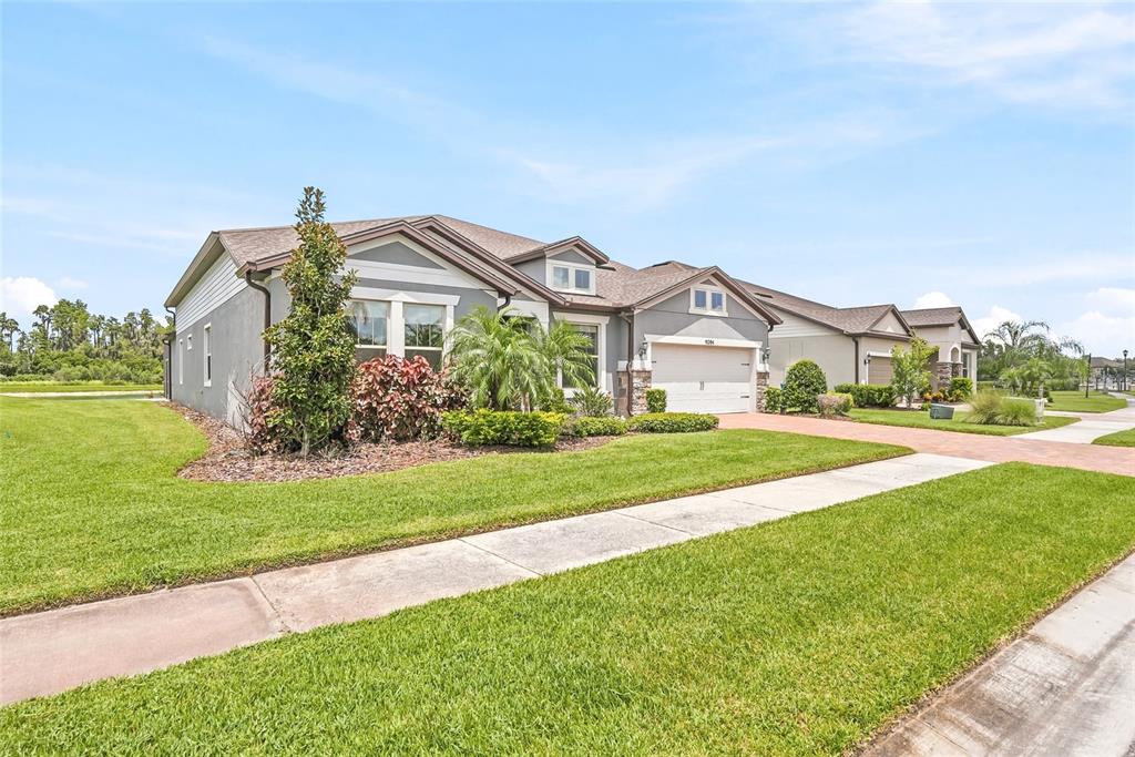 19284 BRIARBROOK DRIVE, TAMPA, FL — photo 2 of 30